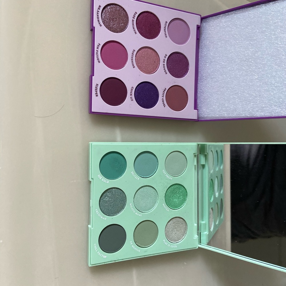 Colourpop eyeshadow palettes Mint and Pleasure